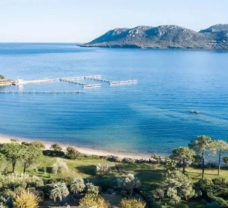 T3 Avec Terrasse - Avec Piscine Fiori Di Cala Rossa - 4-6 Personnes